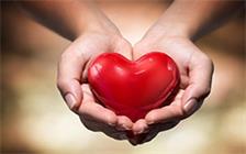 尊龙抖圈 - 为du而生